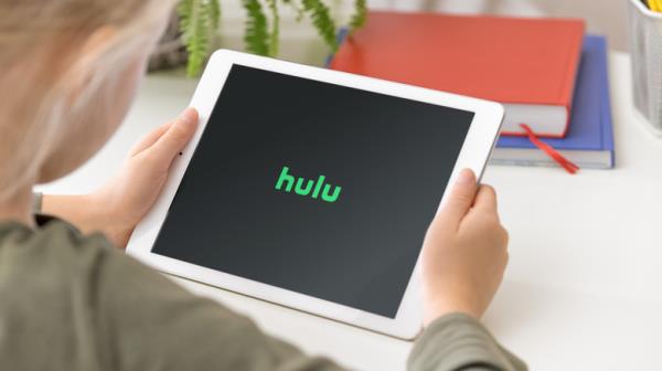 Hulu logo ipad