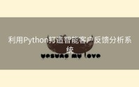 利用Python打造智能客户反馈分析系统