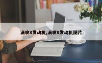 涡喷8发动机,涡喷8发动机图片