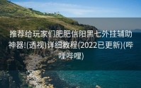 推荐给玩家们肥肥信阳黑七外挂辅助神器!(透视)详细教程(2022已更新)(哔哩哔哩)