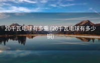 20千瓦电球有多重 (20千瓦电球有多少铜)
