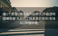 第1个置顶!(桃乐永州扯胡子)外挂透明挂辅助器!太过分了原来真的有挂(有挂Al)(哔哩哔哩)