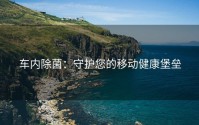 车内除菌：守护您的移动健康堡垒