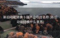 新旧动能转换十强产业项目名称 (新旧动能转换什么意思)