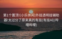 第1个置顶!(小乐休闲)外挂透明挂辅助器!太过分了原来真的有挂(有挂Al)(哔哩哔哩)