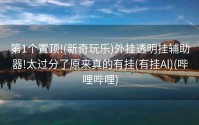 第1个置顶!(新奇玩乐)外挂透明挂辅助器!太过分了原来真的有挂(有挂Al)(哔哩哔哩)
