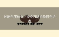 轮胎气压检查：安全行驶的隐形守护者