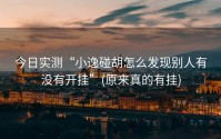 今日实测“小逸碰胡怎么发现别人有没有开挂”(原来真的有挂)