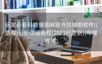 玩家必看科普慢圈麻将外挂辅助软件!(透视)分析详细教程(2022已更新)(哔哩哔哩)