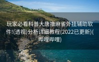 玩家必看科普大唐撸麻雀外挂辅助软件!(透视)分析详细教程(2022已更新)(哔哩哔哩)