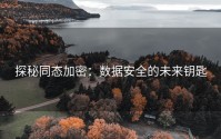 探秘同态加密：数据安全的未来钥匙