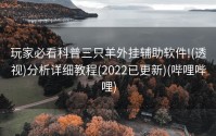 玩家必看科普三只羊外挂辅助软件!(透视)分析详细教程(2022已更新)(哔哩哔哩)
