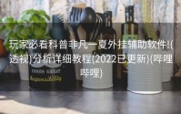 玩家必看科普非凡一夏外挂辅助软件!(透视)分析详细教程(2022已更新)(哔哩哔哩)