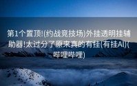 第1个置顶!(约战竞技场)外挂透明挂辅助器!太过分了原来真的有挂(有挂Al)(哔哩哔哩)