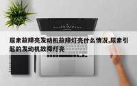 尿素故障亮发动机故障灯亮什么情况,尿素引起的发动机故障灯亮