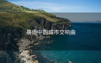 暴雨中的城市交响曲