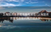 上海国资改革概念股有哪些 (上海国资改革概念股的两只领头羊)