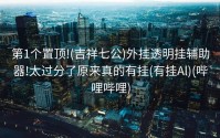 第1个置顶!(吉祥七公)外挂透明挂辅助器!太过分了原来真的有挂(有挂Al)(哔哩哔哩)