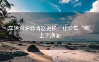 车辆燃油滤清器更换：让爱车“喝”上干净油