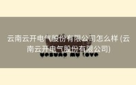 云南云开电气股份有限公司怎么样 (云南云开电气股份有限公司)