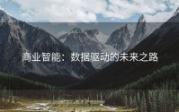 商业智能：数据驱动的未来之路
