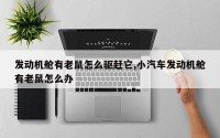 发动机舱有老鼠怎么驱赶它,小汽车发动机舱有老鼠怎么办