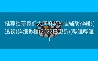 推荐给玩家们大同麻将外挂辅助神器!(透视)详细教程(2022已更新)(哔哩哔哩)