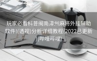玩家必看科普闽南漳州麻将外挂辅助软件!(透视)分析详细教程(2022已更新)(哔哩哔哩)
