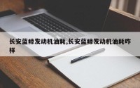 长安蓝鲸发动机油耗,长安蓝鲸发动机油耗咋样
