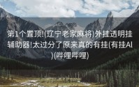 第1个置顶!(辽宁老家麻将)外挂透明挂辅助器!太过分了原来真的有挂(有挂Al)(哔哩哔哩)