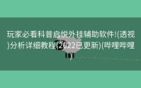 玩家必看科普启悦外挂辅助软件!(透视)分析详细教程(2022已更新)(哔哩哔哩)