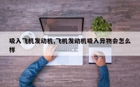 吸入飞机发动机,飞机发动机吸入异物会怎么样