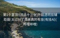 第1个置顶!(鸿运十三张)外挂透明挂辅助器!太过分了原来真的有挂(有挂Al)(哔哩哔哩)