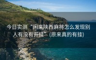 今日实测“闲来陕西麻将怎么发现别人有没有开挂”(原来真的有挂)