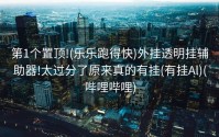 第1个置顶!(乐乐跑得快)外挂透明挂辅助器!太过分了原来真的有挂(有挂Al)(哔哩哔哩)