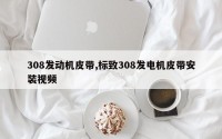 308发动机皮带,标致308发电机皮带安装视频