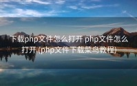 下载php文件怎么打开 php文件怎么打开 (php文件下载菜鸟教程)