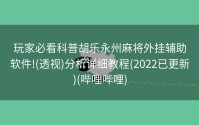 玩家必看科普胡乐永州麻将外挂辅助软件!(透视)分析详细教程(2022已更新)(哔哩哔哩)