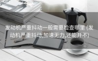 发动机严重抖动一般需要检查哪里 (发动机严重抖动,加速无力,还能开不)
