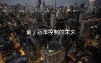 量子版本控制的未来