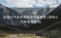 深圳小汽车专项摇号什么意思 (深圳小汽车专项摇号)