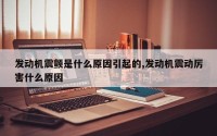 发动机震颤是什么原因引起的,发动机震动厉害什么原因