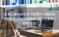 玩家必看科普哈灵干瞪眼外挂辅助软件!(透视)分析详细教程(2022已更新)(哔哩哔哩)