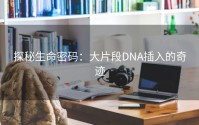 探秘生命密码：大片段DNA插入的奇迹