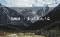 脑机接口：未来科技的桥梁