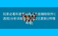 玩家必看科普德娴麻将外挂辅助软件!(透视)分析详细教程(2022已更新)(哔哩哔哩)