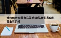 猎豹mattu是宝马发动机吗,猎豹发动机是宝马的吗