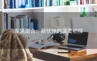 车辆磨合：新伙伴的温柔初探