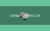 追寻磁单极子的奇幻之旅