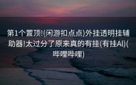 第1个置顶!(闲游扣点点)外挂透明挂辅助器!太过分了原来真的有挂(有挂Al)(哔哩哔哩)